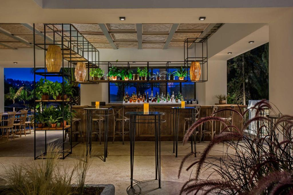 هتل کلاب ماروی کوش آداسی